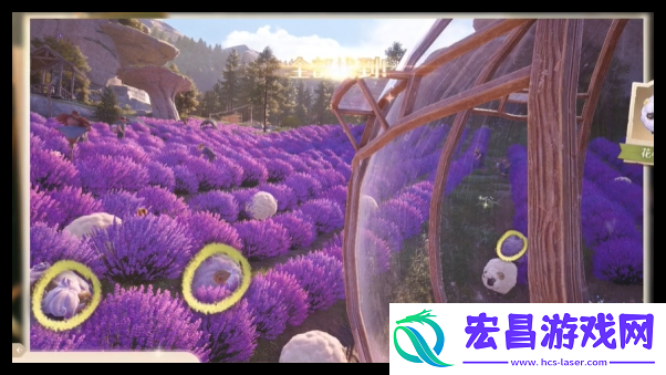 无限暖暖照片调查走丢的绵羊任务怎么完成