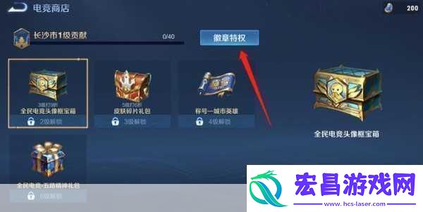 王者荣耀熊猫回城徽章获取全攻略