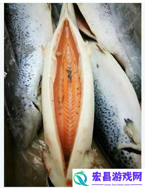 印度黄片