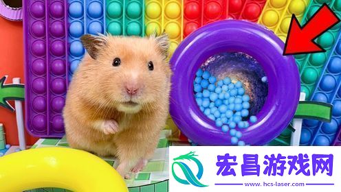 小仓鼠勇闯恐怖医院迷宫