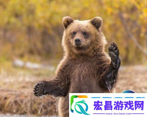 跳跳熊事件