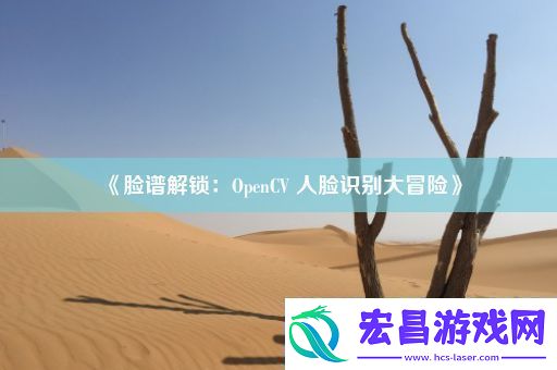脸谱解锁