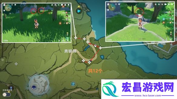 原神小灯草采集位置在哪