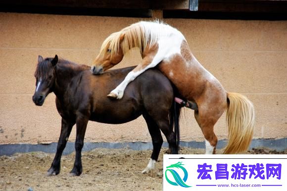 突破极限