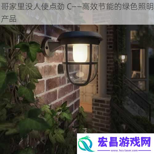 哥家里没人使点劲