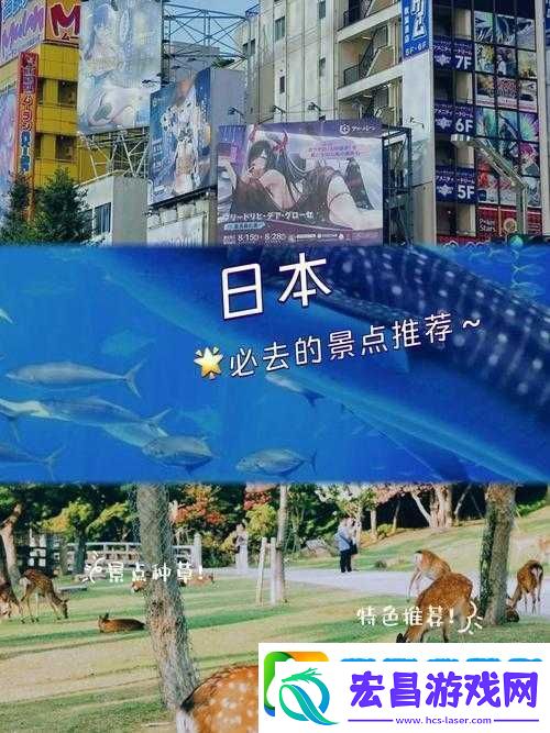 日本色倩网