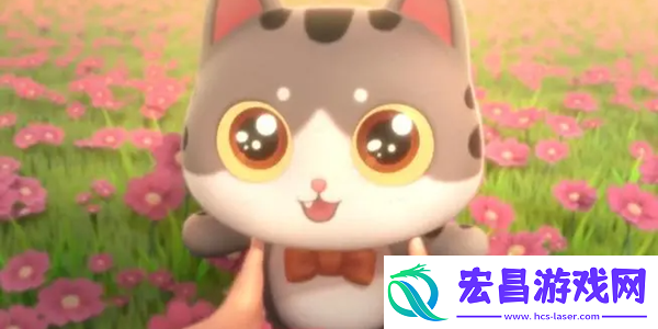 遇见喵克斯生小猫攻略
