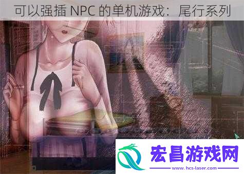 可以强插NPC的单机游戏