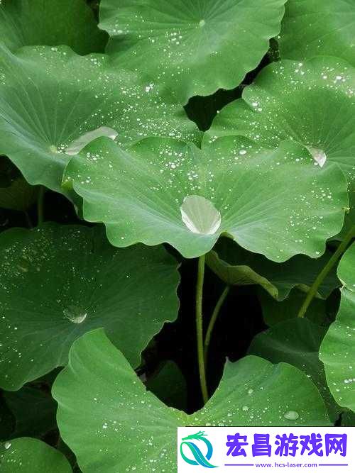 1204