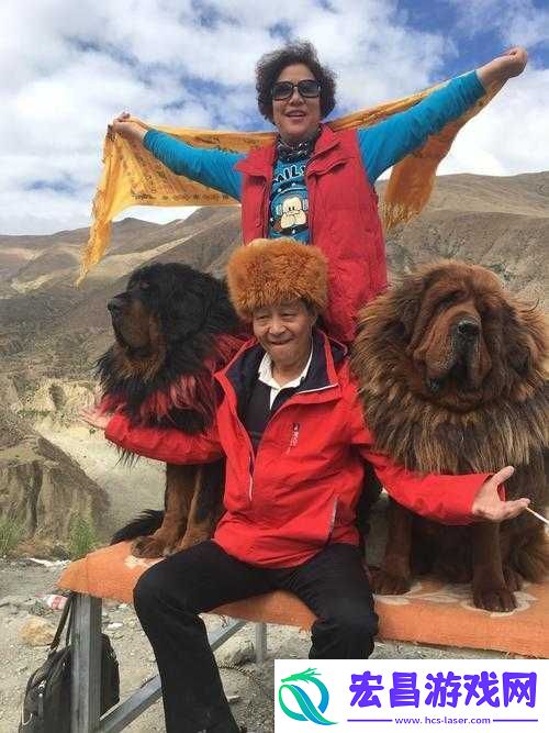 三位金主