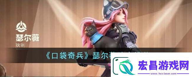 口袋奇兵瑟尔薇阵容推荐