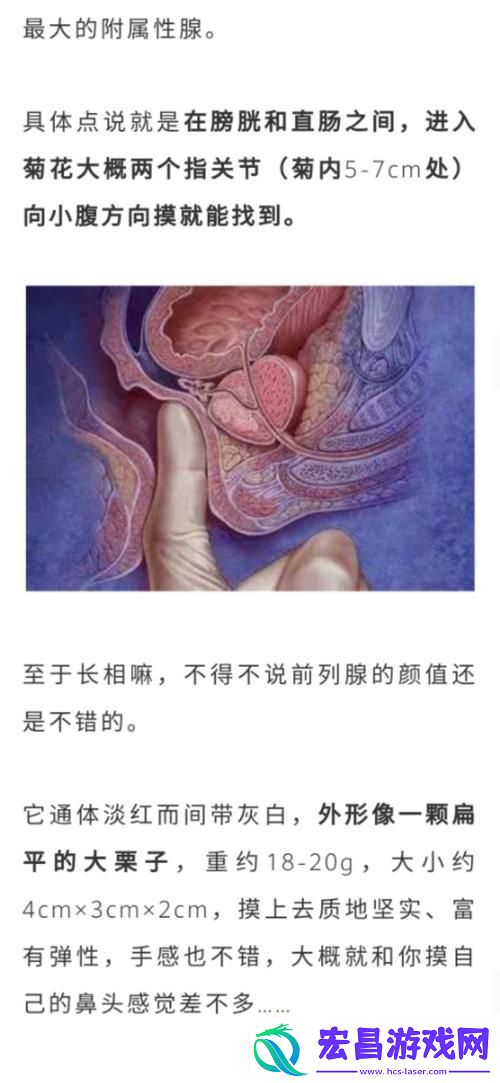 在公交车里c弄到高c了怎么办
