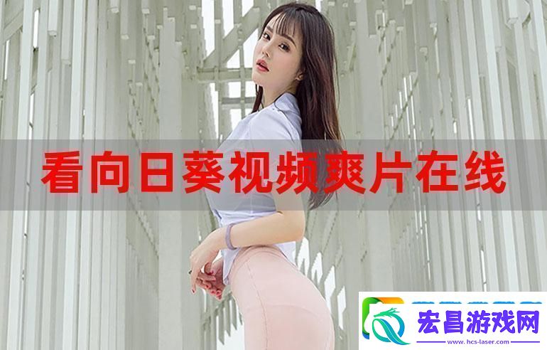 在线观看爽片免费观看平台
