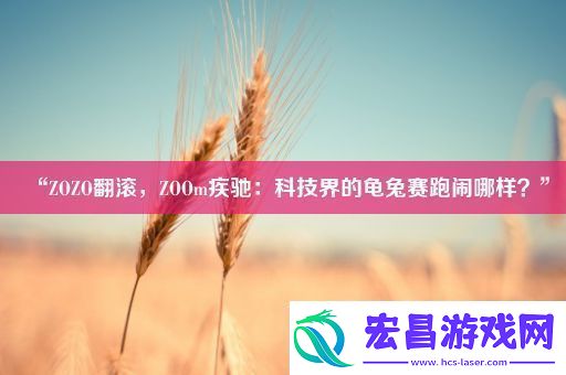“ZOZO翻滚