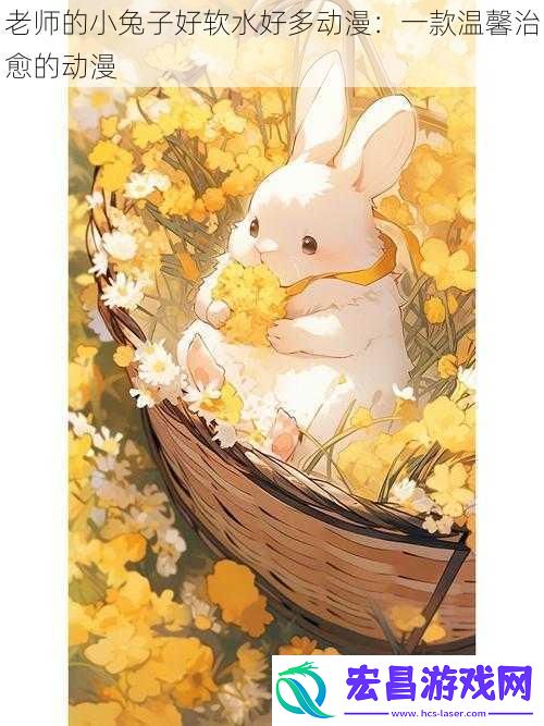 老师的小兔子好软水好多动漫