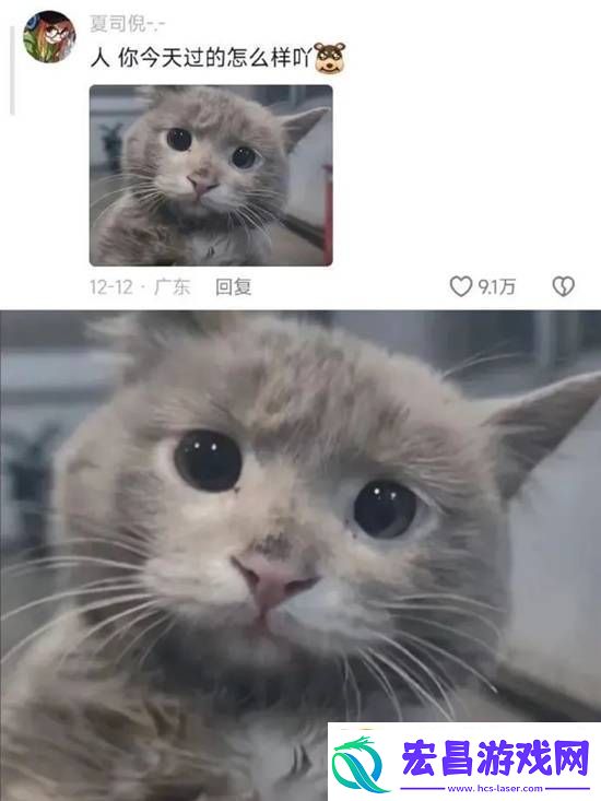 不懂小肚子的有难了虽有肉但涩口的囧图