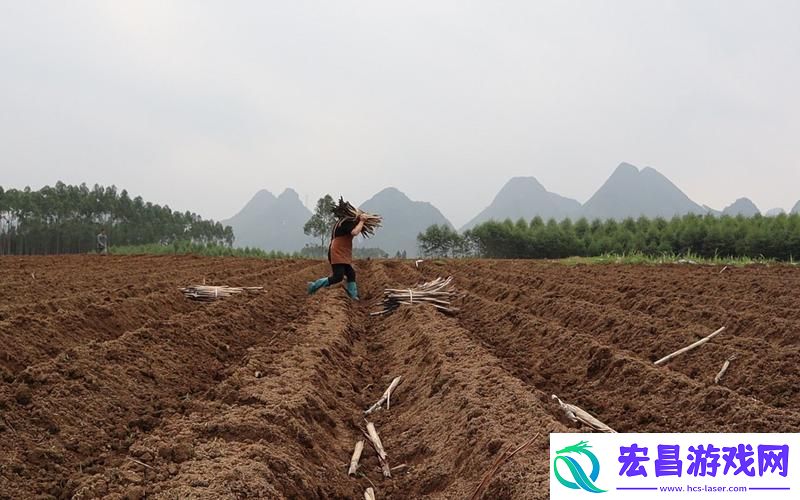 耕种姐姐的肥沃土地