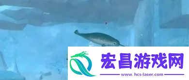 潜水员戴夫大白鲨打法攻略