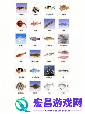 了解全部鱼类种类！欢乐钓鱼大师鱼类图鉴大汇总