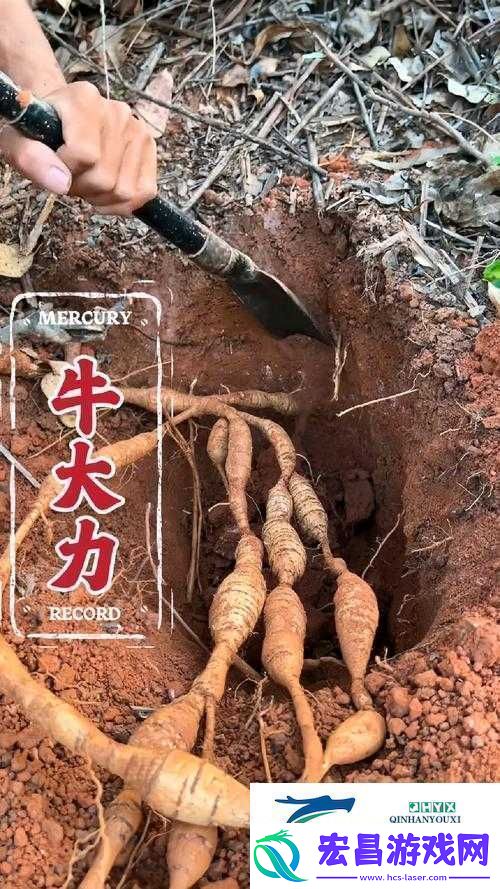 大力牛汉子