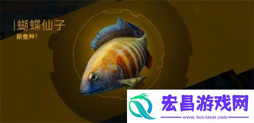 星球重启钓鱼震动关闭方法介绍