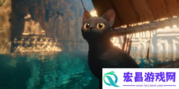 高分动画电影猫猫的奇幻漂流确认引进中国内地！