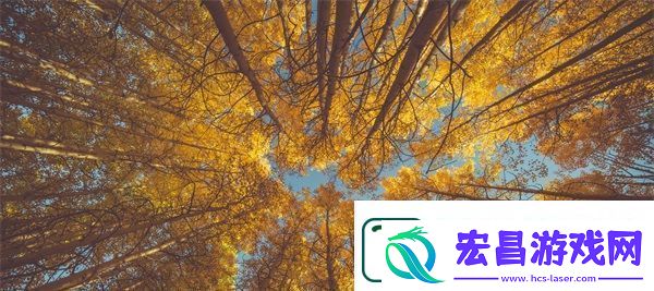 妈妈先是拒绝后是迎合的句子