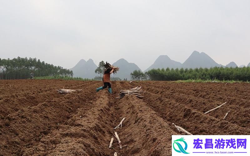 在“耕种姐姐的肥沃土地”中探索生命的力量