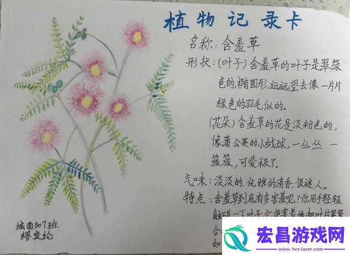 鍚緸鑽夊崱
