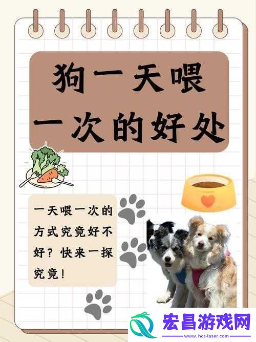 人狗胶配方大全狗狗一天