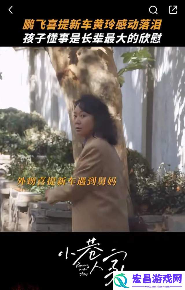 小巷人家中向鹏飞成亮点