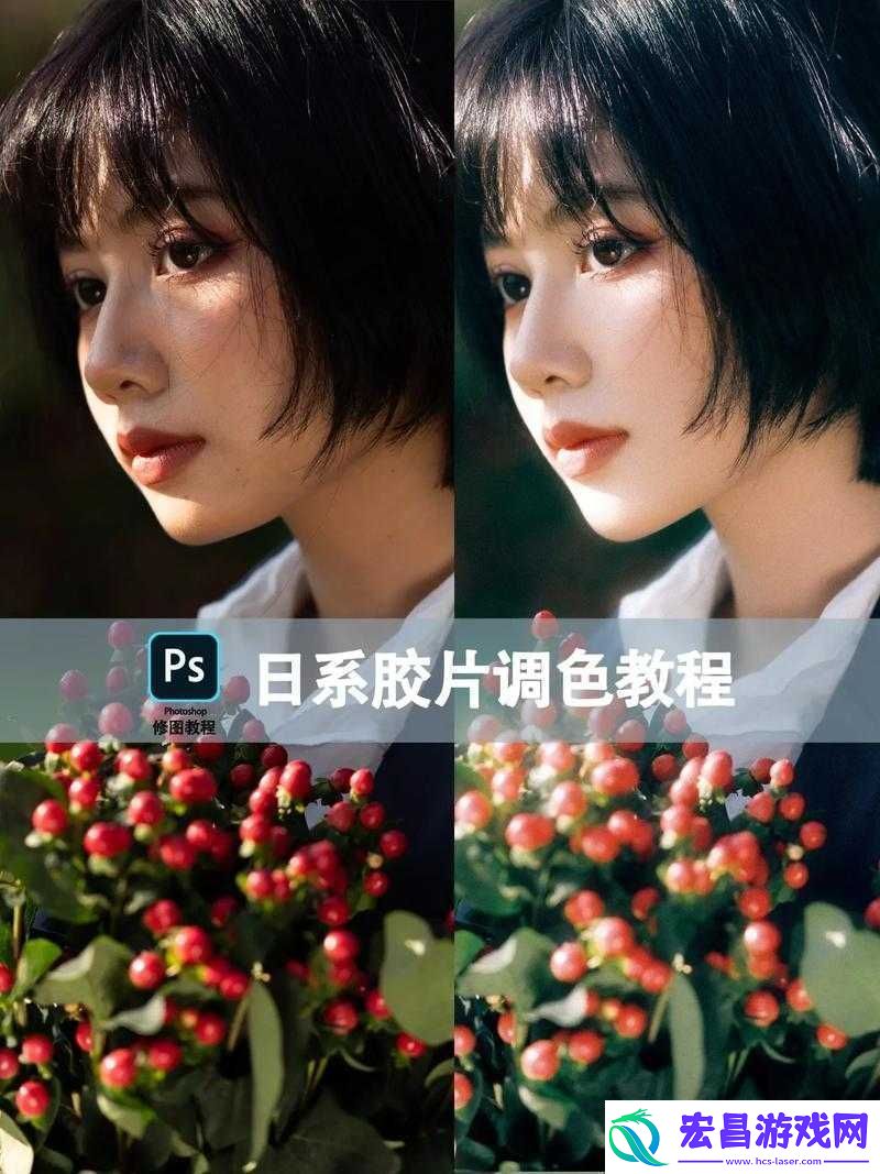 免费