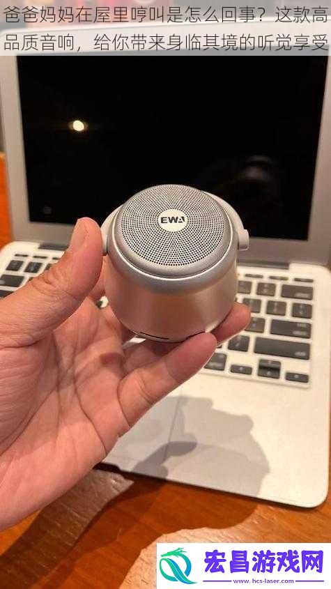 爸爸妈妈在屋里哼叫是怎么回事这款高品质音响给你带来身临其境的听觉享受