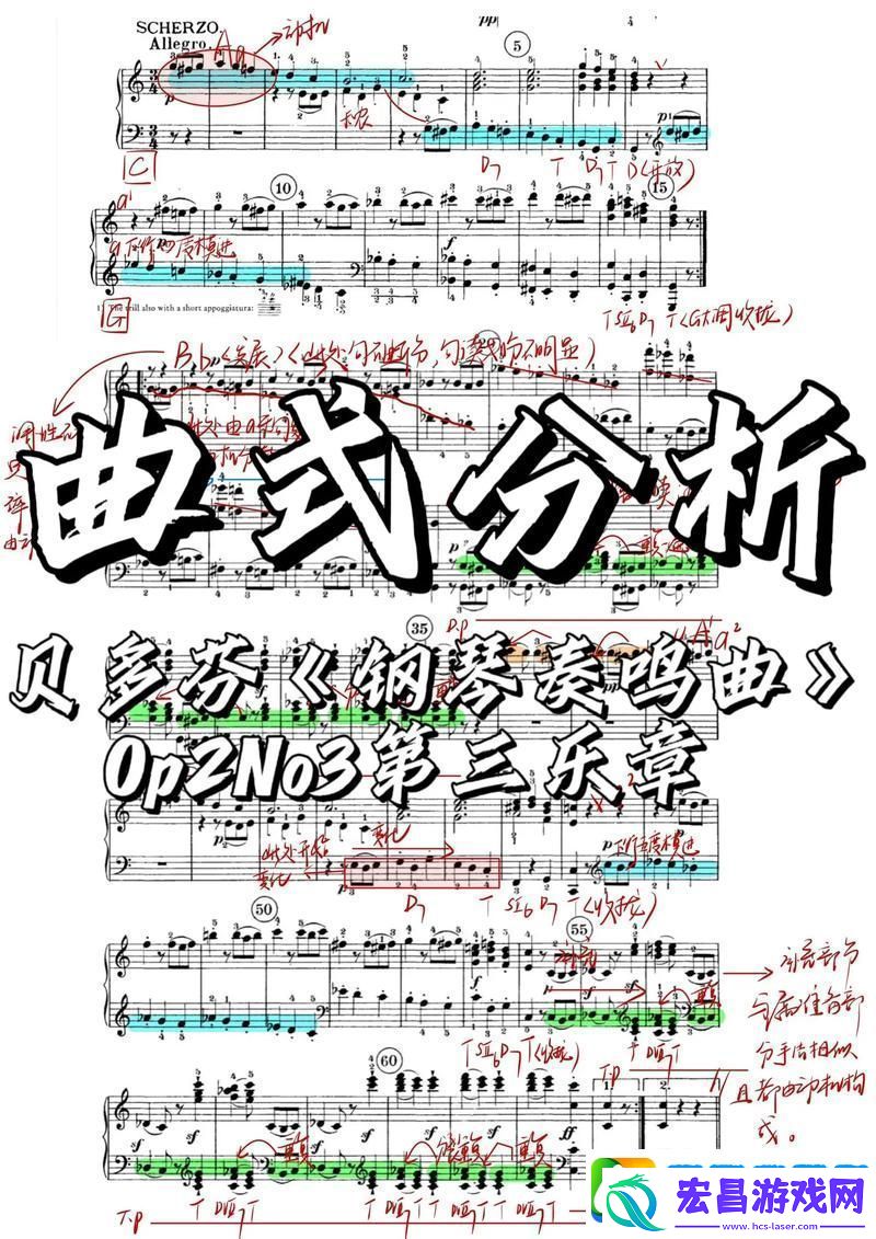 探索音乐之旅