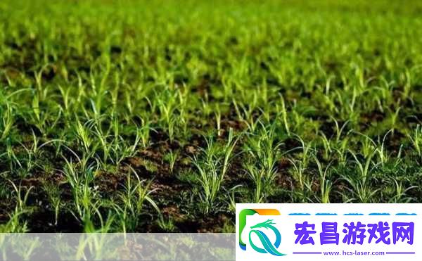老牛嫩草一二三产品区别不一样的快感