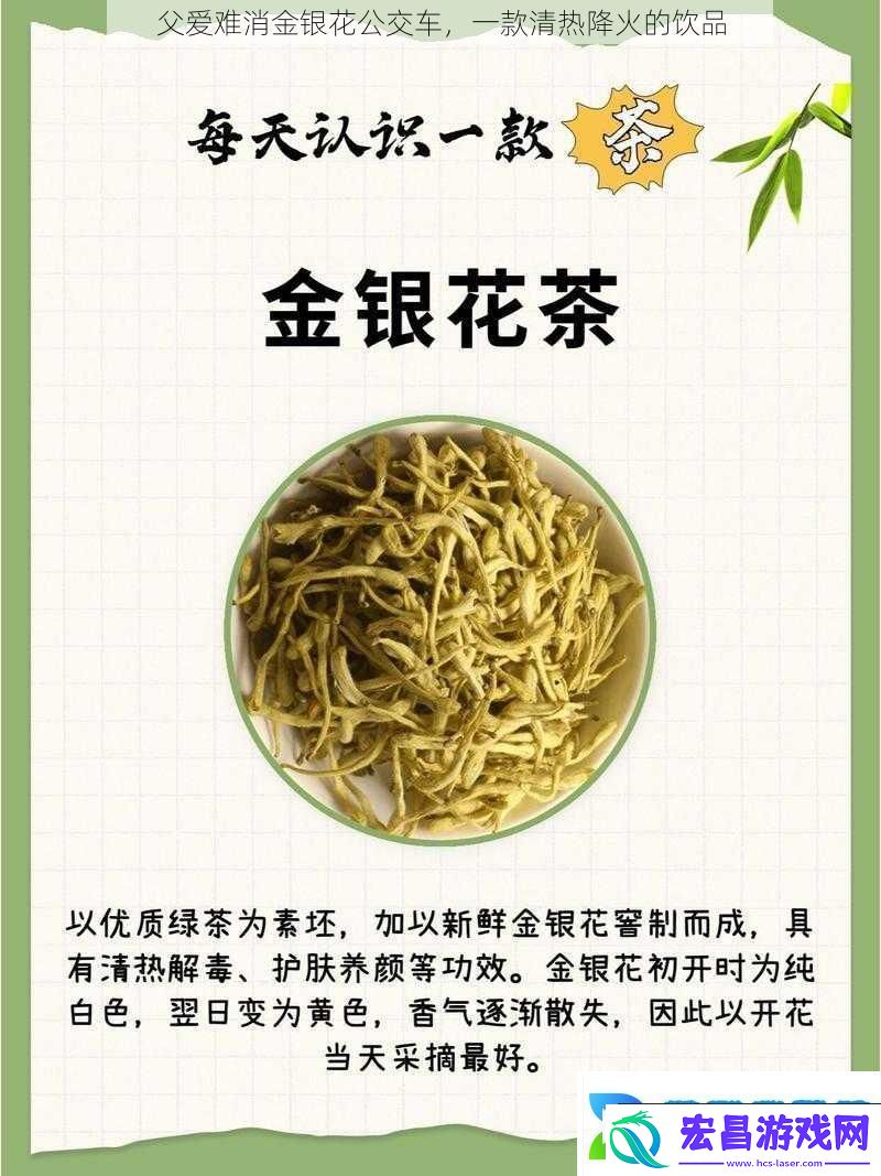 父爱难消金银花公交车