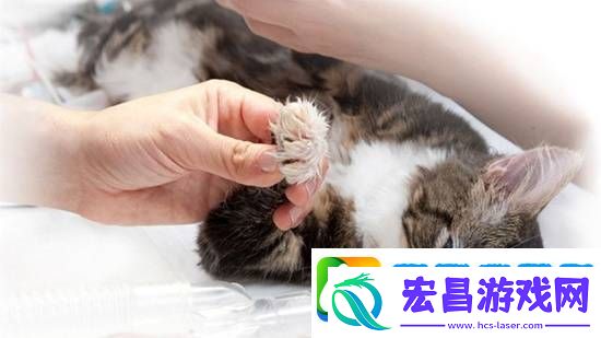 你怎么看