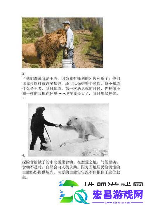 人与动物交互的奇妙故事