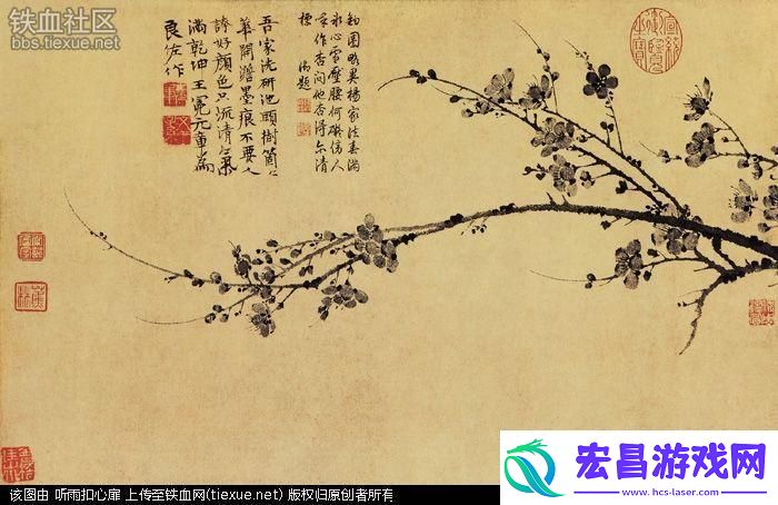 科技江湖惊现奇闻！‘老枪不倒’梅花先生引发网友狂潮