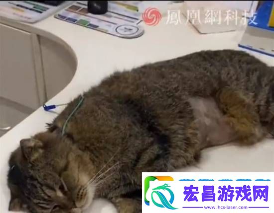 你怎么看