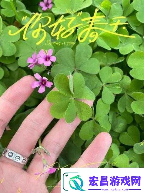 成品人与精品人在四叶草区别上的探讨