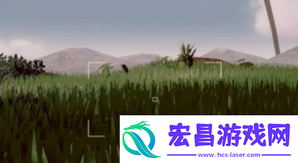 宝可梦