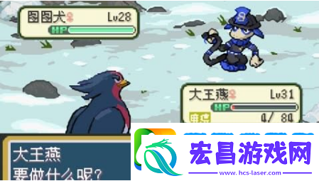 口袋妖怪登峰造极金手指代码有哪些