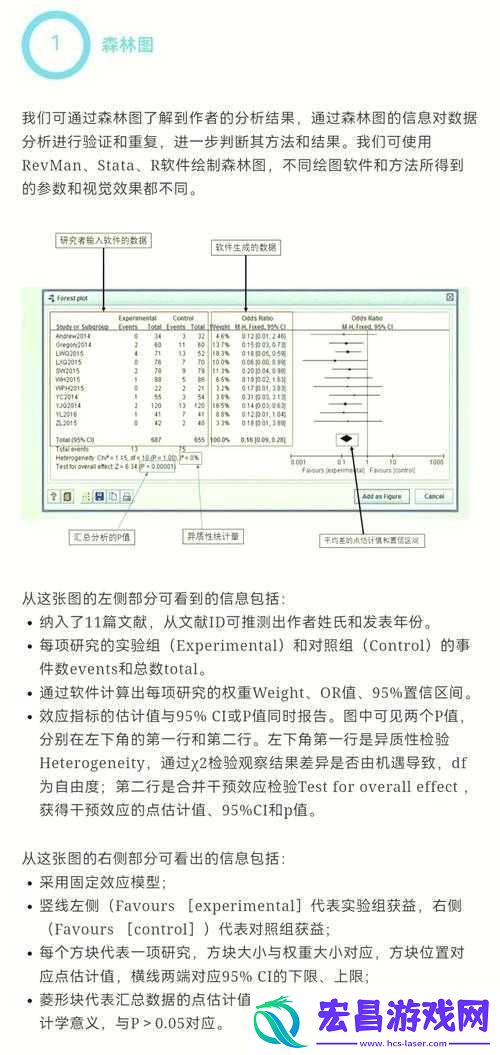 最新中文字幕之详细解读与深入分析