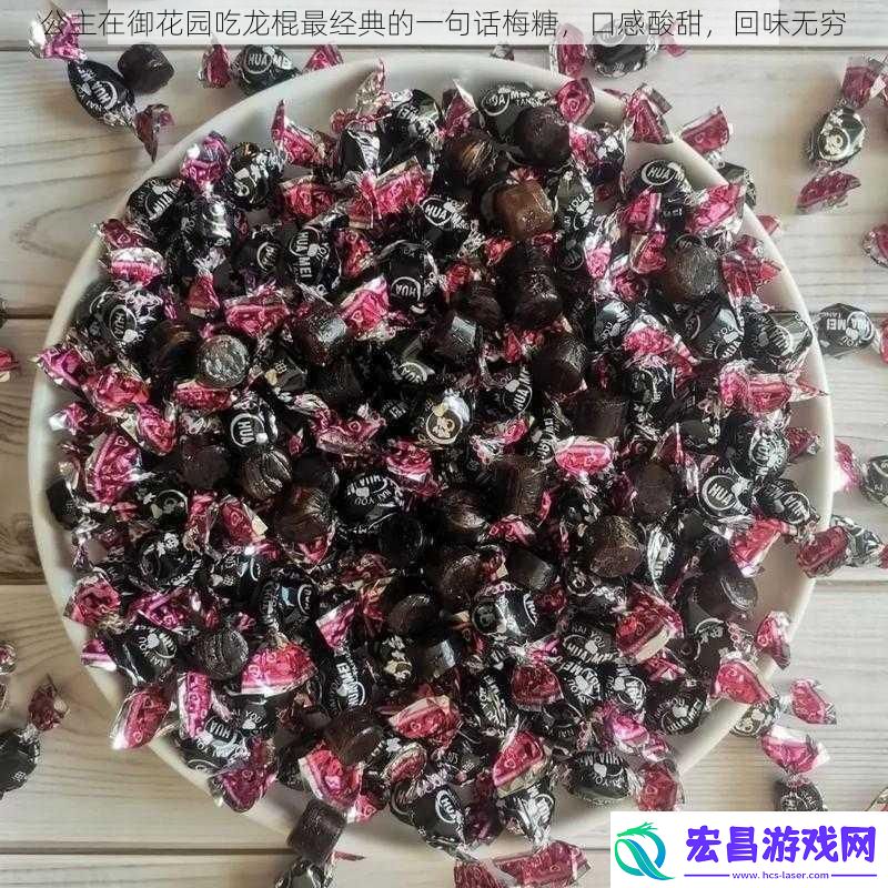 公主在御花园吃龙棍最经典的一句话梅糖口感酸甜回味无穷