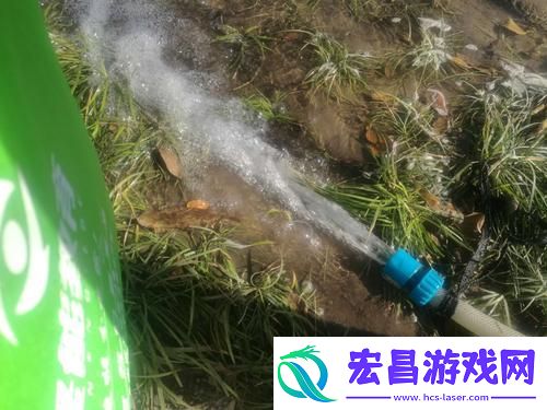 被系统浇灌的日常