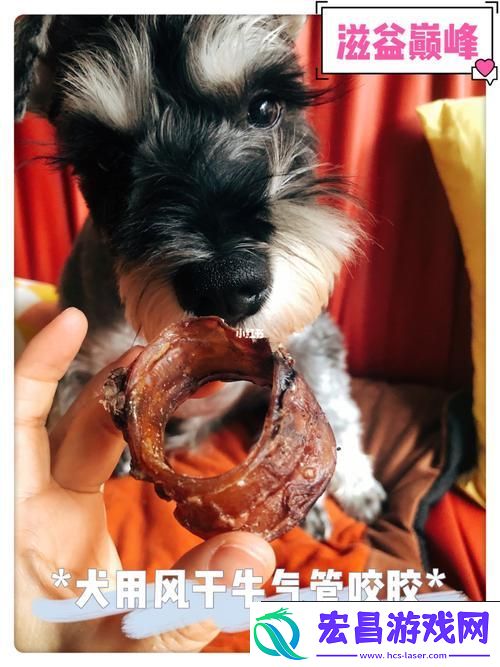 美国人与动物胶配方大全图片