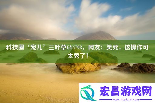 科技圈‘宠儿’三叶草GY6793网友