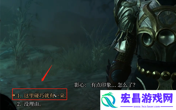博德之门3夜兰花怎么送