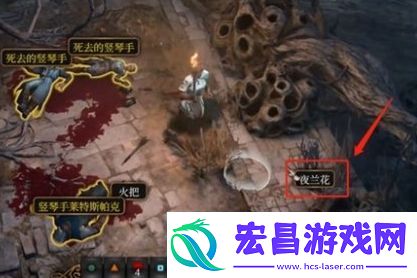 博德之门3夜兰花怎么送
